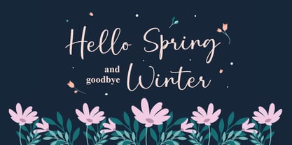 Missoula Script Font Poster 4