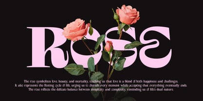 Thught Font Poster 3