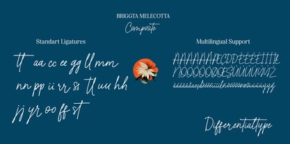 Briggta Melecotta Font Poster 6
