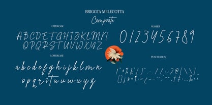 Briggta Melecotta Font Poster 5