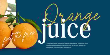 Briggta Melecotta Font Poster 2