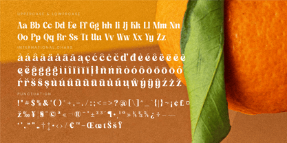 Dusty Brothe Font Poster 15