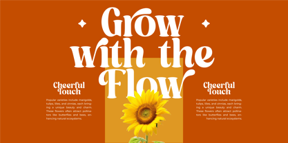 Dusty Brothe Font Poster 4