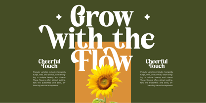 Rusty Drake Font Poster 9