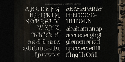 Pearce Vogue Font Poster 10