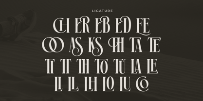House District Font Poster 7