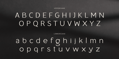 Miela Font Poster 10