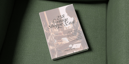 Meadowgrove Display Font Poster 5