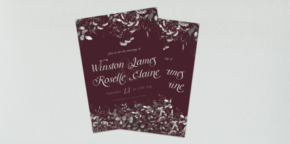 Meadowgrove Display Font Poster 2