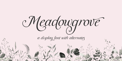 Meadowgrove Display Font Poster 1