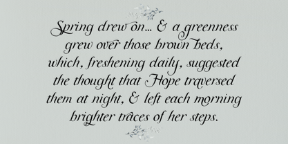 Meadowgrove Display Font Poster 4