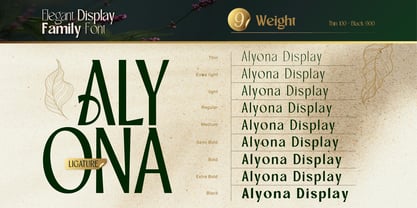 Alyona Font Poster 4
