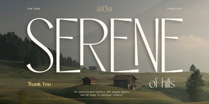 Alyona Font Poster 12