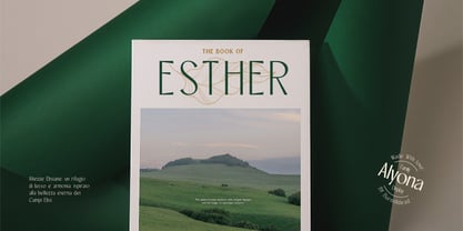 Alyona Font Poster 8