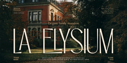 Alyona Font Poster 3