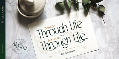 Alyona Font Poster 5