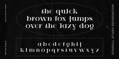 Viors Font Poster 8