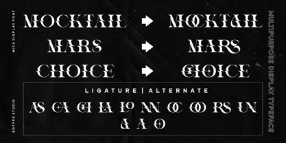Viors Font Poster 9