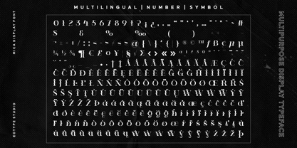 Viors Font Poster 10