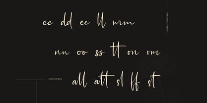 Austrisa Font Poster 6