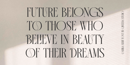 Carika Font Poster 8