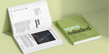 Signora Classica Font Poster 10