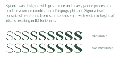 Signora Classica Font Poster 5