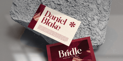 Braise Font Poster 9