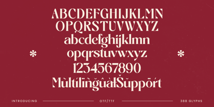 Braise Font Poster 14