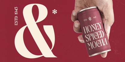 Braise Font Poster 5