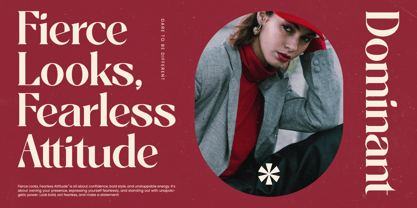 Braise Font Poster 2