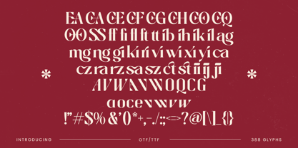 Braise Font Poster 15