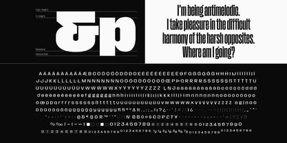 Macrosoma Grotesque Font Poster 7