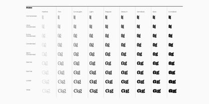 Macrosoma Grotesque Font Poster 3