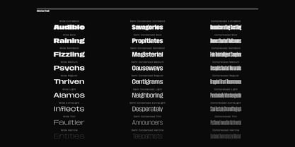 Macrosoma Grotesque Font Poster 8
