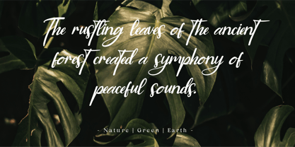 CF Golden Glamoura Font Poster 2