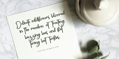 CF Golden Glamoura Font Poster 8