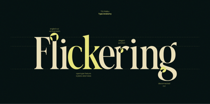 TBJ Malibu Condensed Serif Font Poster 7