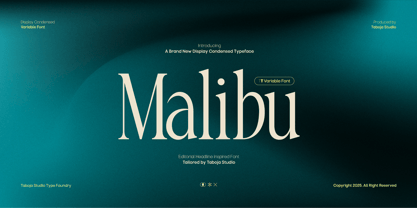 TBJ Malibu Condensed Serif Font Poster 1