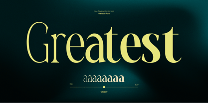 TBJ Malibu Condensed Serif Font Poster 6