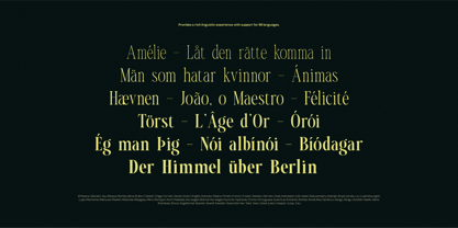 TBJ Malibu Condensed Serif Font Poster 15