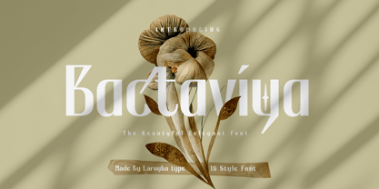 Bactaviya Font Poster 1