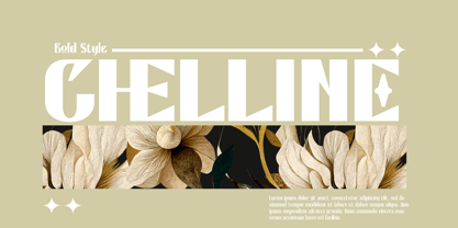 Bactaviya Font Poster 2
