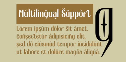 Bactaviya Font Poster 13
