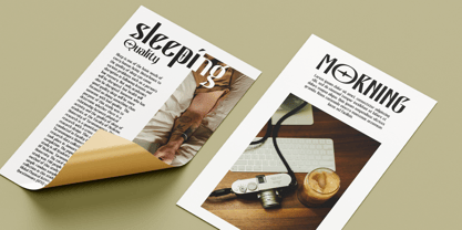Bactaviya Font Poster 7