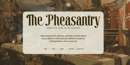 Mandelina Font Poster 5