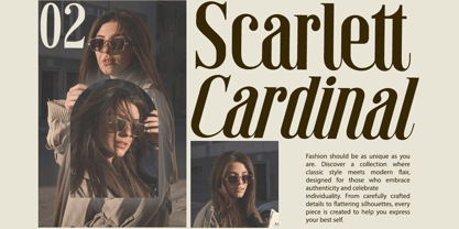 Mandelina Font Poster 7