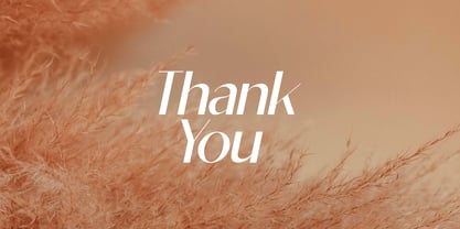 Hydrating Cream Font Poster 8