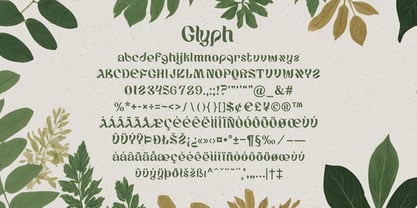 Eco Sans Font Poster 2