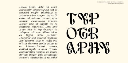 Dexentia Font Poster 3